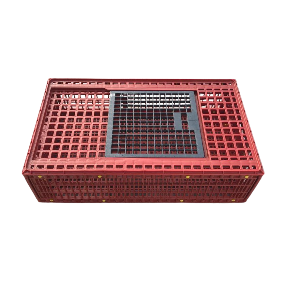 Caisse en plastique
